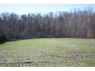 Property photo 3 - REAL ESTATE AUCTION - 366+/- ACRES OFFERED IN 5 TRACTS IN WESTERN JEFFERSON COUNTY, INDIANA